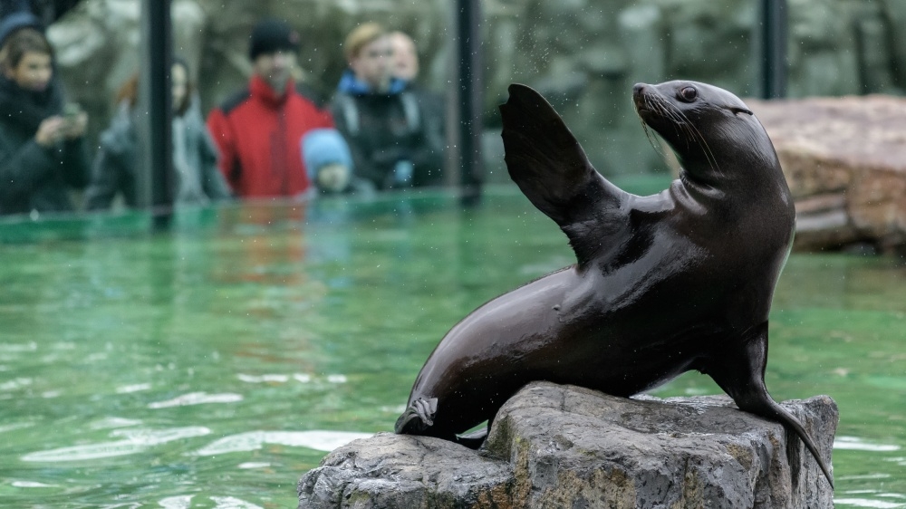 Nejlepší zoo v čr